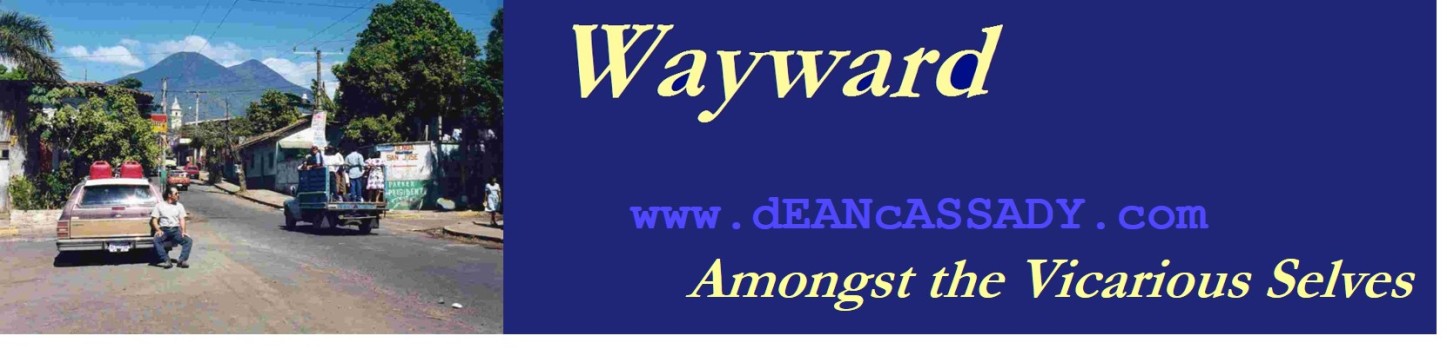 Wayward the novel